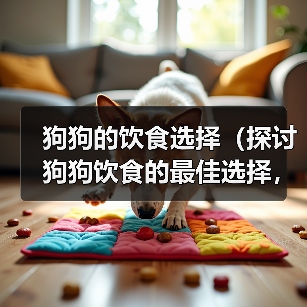狗狗的饮食选择（探讨狗狗饮食的最佳选择，米饭与狗粮）