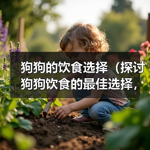 狗狗的饮食选择（探讨狗狗饮食的最佳选择，米饭与狗粮）（图3）