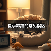 夏季养猫的常见误区（图4）