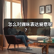怎么对猫咪表达爱意呢？（图2）