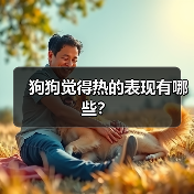 狗狗觉得热的表现有哪些？（图3）