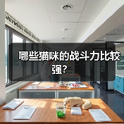 哪些猫咪的战斗力比较强？（图3）