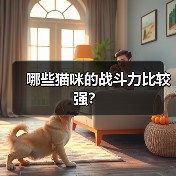 哪些猫咪的战斗力比较强？