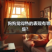 狗狗觉得热的表现有哪些？（图4）
