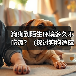 狗狗到陌生环境多久不吃饭？（探讨狗狗适应陌生环境后的饮食问题）