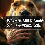 狗狗不咬人的时间是多久？（从初生到成熟，狗狗不咬人需要经历的阶段）