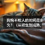 狗狗不咬人的时间是多久？（从初生到成熟，狗狗不咬人需要经历的阶段）（图2）