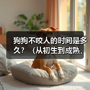狗狗不咬人的时间是多久？（从初生到成熟，狗狗不咬人需要经历的阶段）（图4）