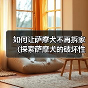 如何让萨摩犬不再拆家（探索萨摩犬的破坏性行为及解决方案）