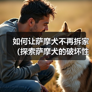 如何让萨摩犬不再拆家（探索萨摩犬的破坏性行为及解决方案）（图2）