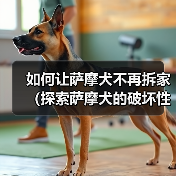 如何让萨摩犬不再拆家（探索萨摩犬的破坏性行为及解决方案）（图4）