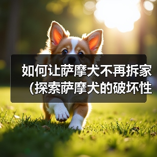 如何让萨摩犬不再拆家（探索萨摩犬的破坏性行为及解决方案）（图3）
