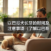 以巴哥犬长牙的时间及注意事项（了解以巴哥犬长牙的周期和保健方法）（图2）