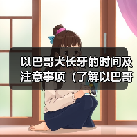以巴哥犬长牙的时间及注意事项（了解以巴哥犬长牙的周期和保健方法）（图4）