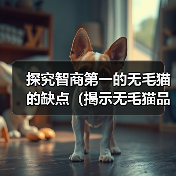 探究智商第一的无毛猫的缺点（揭示无毛猫品种存在的问题及考量）（图2）