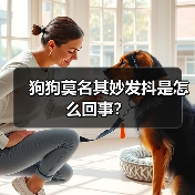 狗狗莫名其妙发抖是怎么回事？（图1）