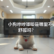 小狗哼哼唧唧是哪里不舒服吗？（图2）