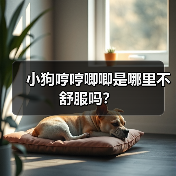 小狗哼哼唧唧是哪里不舒服吗？（图3）