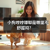 小狗哼哼唧唧是哪里不舒服吗？（图4）