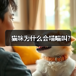 猫咪为什么会喵喵叫？（图4）