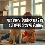母狗假孕的症状和疗程（了解假孕对母狗的影响及如何处理）（图1）