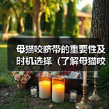 母猫咬脐带的重要性及时机选择（了解母猫咬脐带的作用和适当时机，保护新生猫崽的健康成长）（图3）