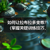 如何让拉布拉多变乖？（掌握关键训练技巧，提升拉布拉多的性和听从性）（图1）