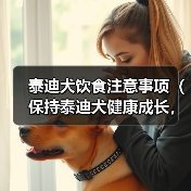 泰迪犬饮食注意事项（保持泰迪犬健康成长，远离这些食物吧！）（图4）