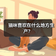 猫咪喜欢在什么地方生产？（图3）
