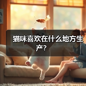 猫咪喜欢在什么地方生产？（图4）