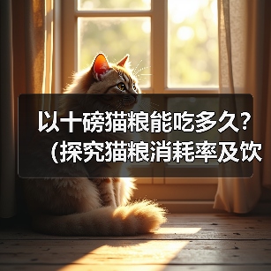 以十磅猫粮能吃多久？（探究猫粮消耗率及饮食需求）