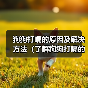 狗狗打嗝的原因及解决方法（了解狗狗打嗝的6大成因，让它安心吃饭）（图2）