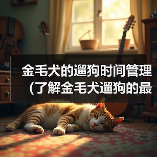 金毛犬的遛狗时间管理（了解金毛犬遛狗的最佳时间和时长）（图4）