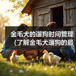 金毛犬的遛狗时间管理（了解金毛犬遛狗的最佳时间和时长）