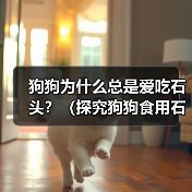 狗狗为什么总是爱吃石头？（探究狗狗食用石头的原因及解决方法）（图3）