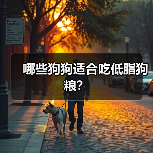 哪些狗狗适合吃低脂狗粮？（图4）