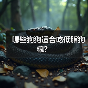 哪些狗狗适合吃低脂狗粮？（图1）
