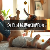 怎样才算是低脂狗粮？（图3）