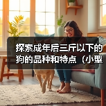 探索成年后三斤以下的狗的品种和特点（小型犬种中体重轻于三斤的狗的独特魅力）（图3）