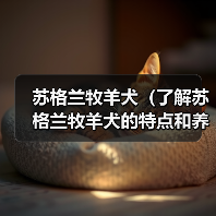 苏格兰牧羊犬（了解苏格兰牧羊犬的特点和养护要点）（图2）
