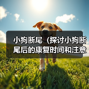 小狗断尾（探讨小狗断尾后的康复时间和注意事项）（图3）