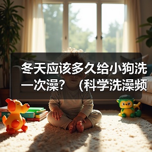 冬天应该多久给小狗洗一次澡？（科学洗澡频率的关键是什么？）