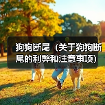 狗狗断尾（关于狗狗断尾的利弊和注意事项）（图2）