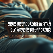 宠物梳子的功能全解析（了解宠物梳子的功能和选择方法，给宠物更好的护理）（图2）