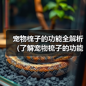 宠物梳子的功能全解析（了解宠物梳子的功能和选择方法，给宠物更好的护理）（图1）