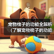 宠物梳子的功能全解析（了解宠物梳子的功能和选择方法，给宠物更好的护理）（图3）