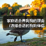 家庭适合养狗狗的理由（选择合适的狗狗伴侣，给家庭带来无尽的快乐）（图2）