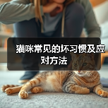 猫咪常见的坏习惯及应对方法（图3）