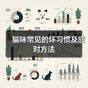 猫咪常见的坏习惯及应对方法（图4）