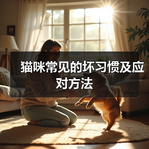 猫咪常见的坏习惯及应对方法（图1）